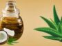 Care For Your Hair With Aloe Vera and Coconut Oil