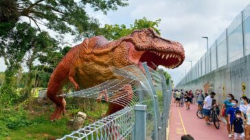 Nerf Action Xperience