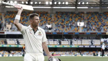 David Warner confirms Test retirement