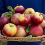 7 Different Ways To Eat An Apple