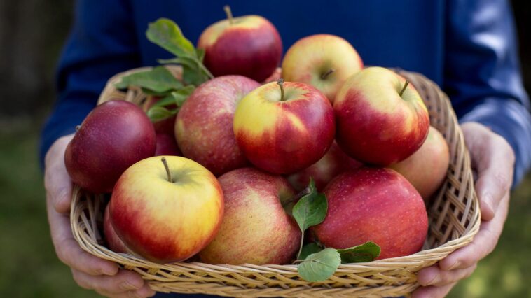 7 Different Ways To Eat An Apple