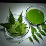 Health Benefits Of Eating Neem Leaves