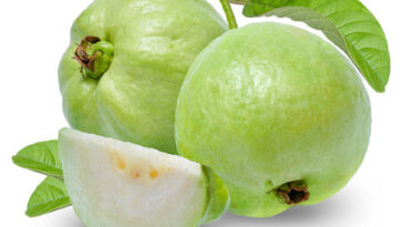 Health Benefits Of Guava