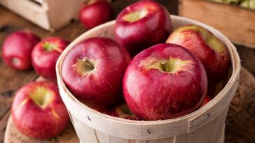 5 Health Benefits of Apples
