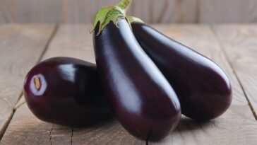 Health Benefits of Brinjal