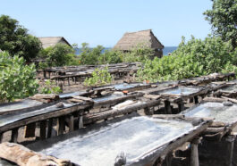 Kusamba Village Salt Farm, Bali - Wanderela