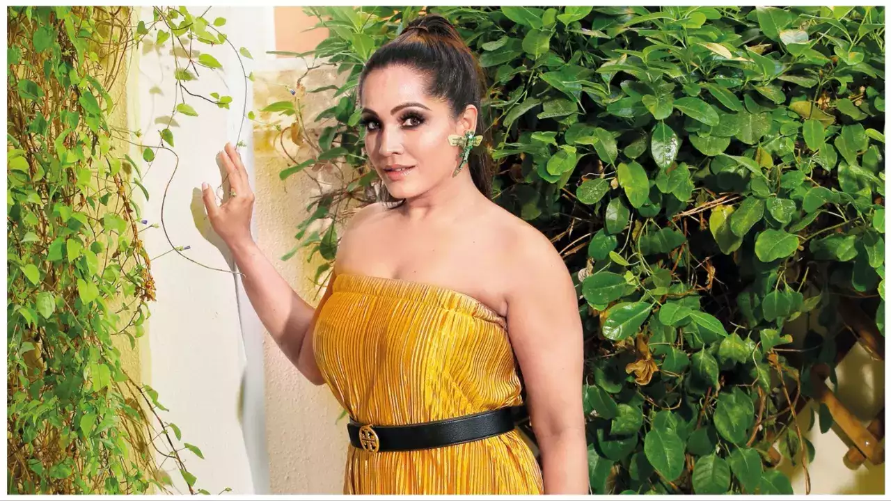 Meghna Naidu labellad a B Grade actress