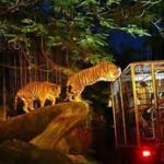 Night Safari, Singapore - Wanderela