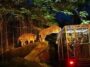 Night Safari, Singapore - Wanderela