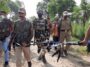 BSF guns down Pak drone near international border in Amritsar