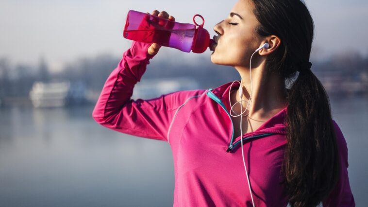 What role does water play in your body?