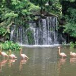 Jurong Bird Park, Singapore - Wanderela