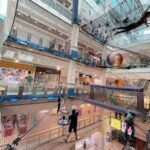 Airzone Singapore - Wanderela