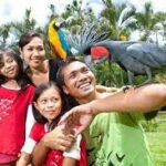 Bali Bird Park - Wanderela
