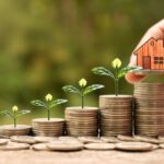 Investment Basics Explained With Types to Invest