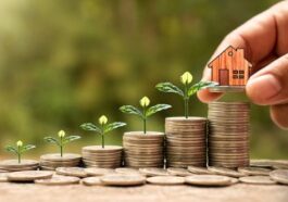 Investment Basics Explained With Types to Invest