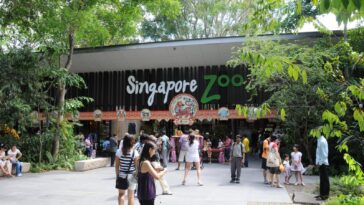 Night Safari, Singapore - Wanderela