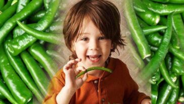 Green Chilli Benefits: 10 Surprising Health Benefits Of Green Chilli