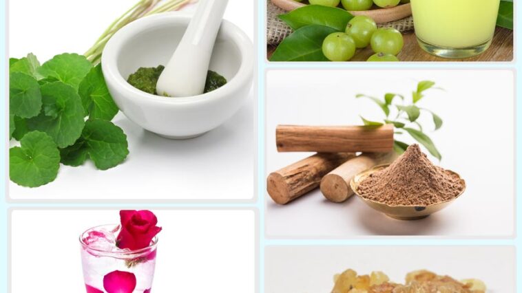 Ayurvedic Skin Care Tips Based on Skin Types