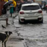 4 drown, vehicles washed away as flash floods hit Junagarh, other areas