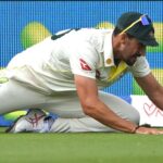 McGrath's over Starc catch controversy