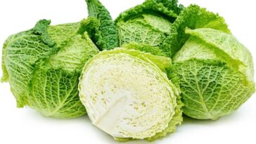 7 Potential Health Benefits of Cabbage