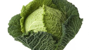 8 Health Benefits of Cabbage