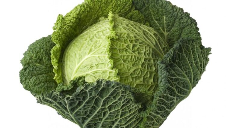 8 Health Benefits of Cabbage