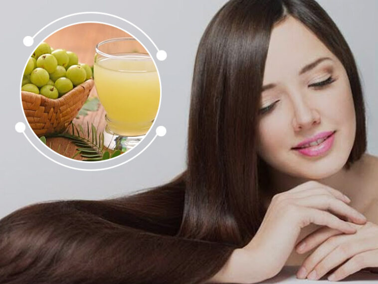 8 Proven Amla Benefits for Haircare