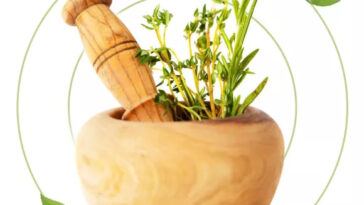 Benefits of Ayurveda Based Lifestyle