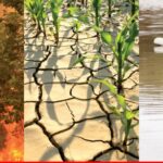 Heat storm bakes Europe, floods drown parts of US, India, South Korea