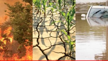 Heat storm bakes Europe, floods drown parts of US, India, South Korea