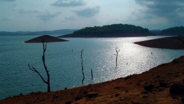 Honnemardu Adventure Camp: Thrilling Escapades amidst Nature's Beauty