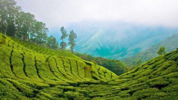Monsoon Magic: 5 must-visit destinations in India