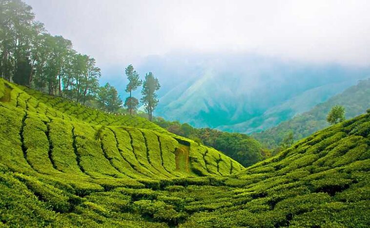Monsoon Magic: 5 must-visit destinations in India