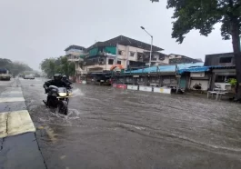 IMD red alert closes Mumbai schools and colleges on Thursday.
