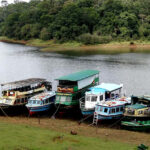 Thekkady, Kerala: A Wildlife Haven in the Lap of Nature