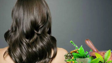 Ayurveda and Hair Care: From Diagnosis to Management!