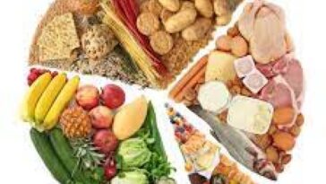 Benefits of different food groups: fats, carbs, protein and fibre