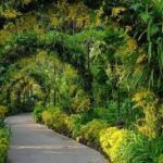 National Orchid Garden,Singapore - Wanderela