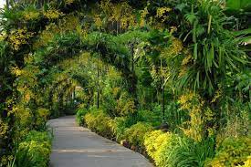 National Orchid Garden,Singapore - Wanderela
