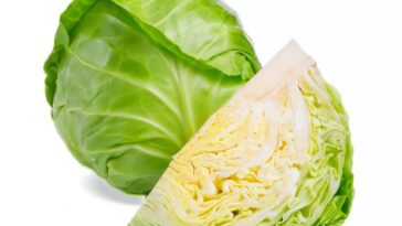 9 Wonderful Health Benefits Of Green Cabbage