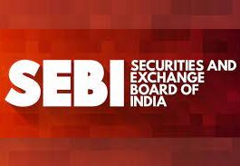 What are the SEBI Guidelines for an IPO