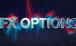 What are Forex Options