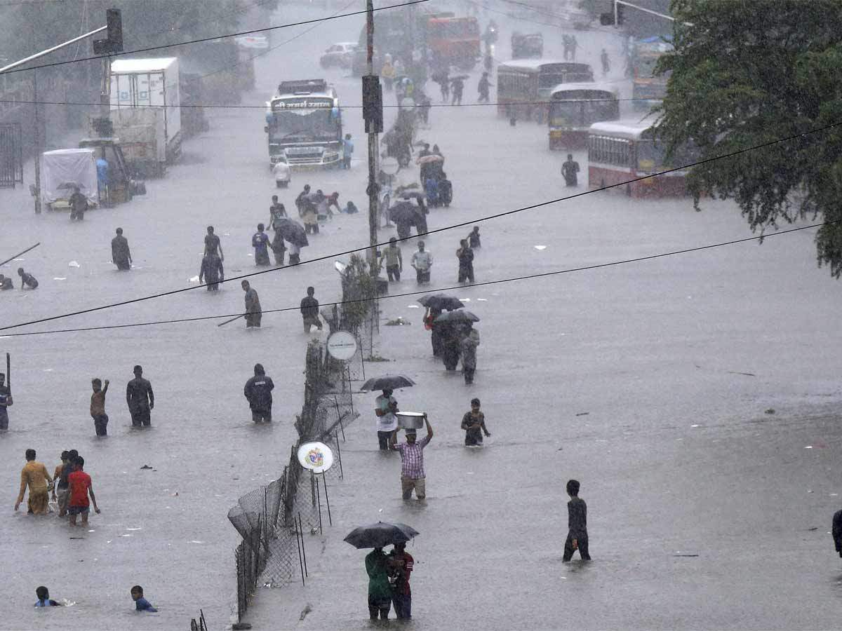 Tomorrow, schools in Mumbai and other rain-affected areas will be closed.