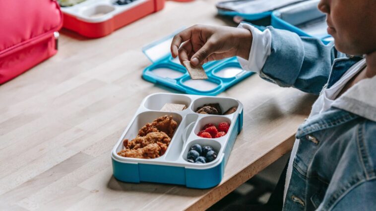 How safe is your child’s food in a plastic tiffin box?