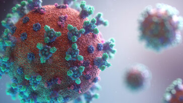 Scientists design origami DNA to stop virus from assembling