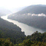 Sharavati River Valley: A Natural Haven of Beauty and Biodiversity
