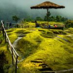 Shillong, Meghalaya: Exploring the Enchanting Gem of the East