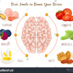 10 Best Foods to Boost Your Brain and Memory